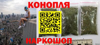 прущие грибы Обь