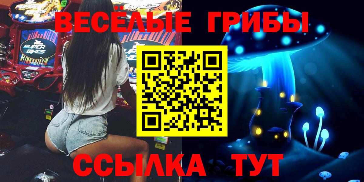 Галлюциногенные грибы Psilocybine cubensis Свободный