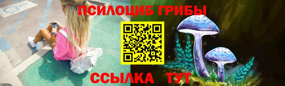 Свободный  закладка  Вход с VPN  Галлюциногенные грибы ЛСД  Псилоцибиновые грибы MAGIC MUSHROOMS 